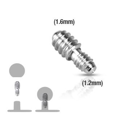 Converter dermal anchoriin
