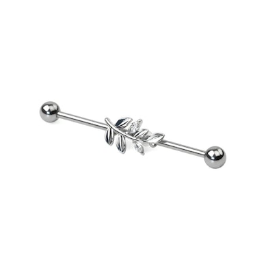 Industrial barbell lehdillä