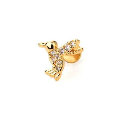 Labret – kivikolibri