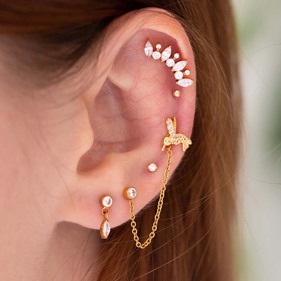 Labret – kivikolibri