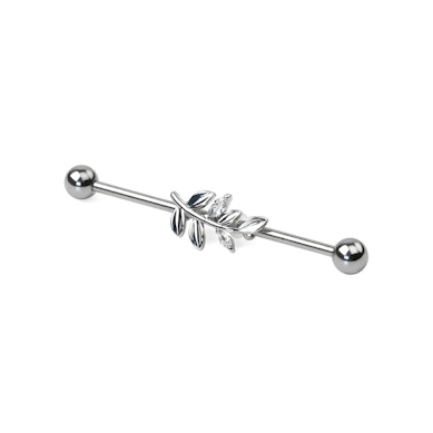 Industrial barbell lehdillä