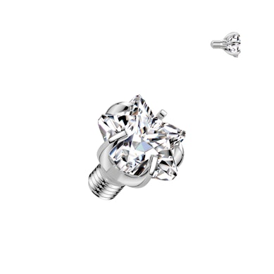 Titaaninen dermal-vaihtopää tähtikorulla