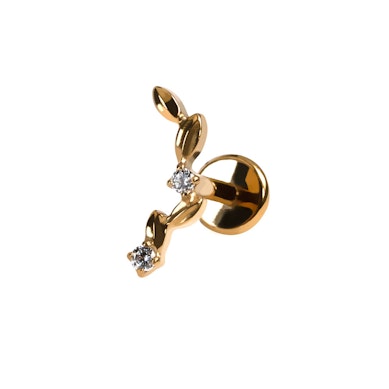 Kaareva titaanilabret lehdillä ja korukivillä