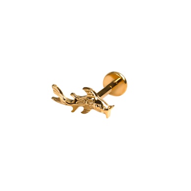 Titaaninen koikarppi-labret