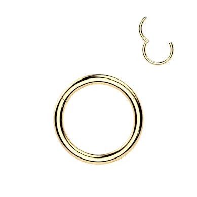 24K kullattu titaaninen saranarengas