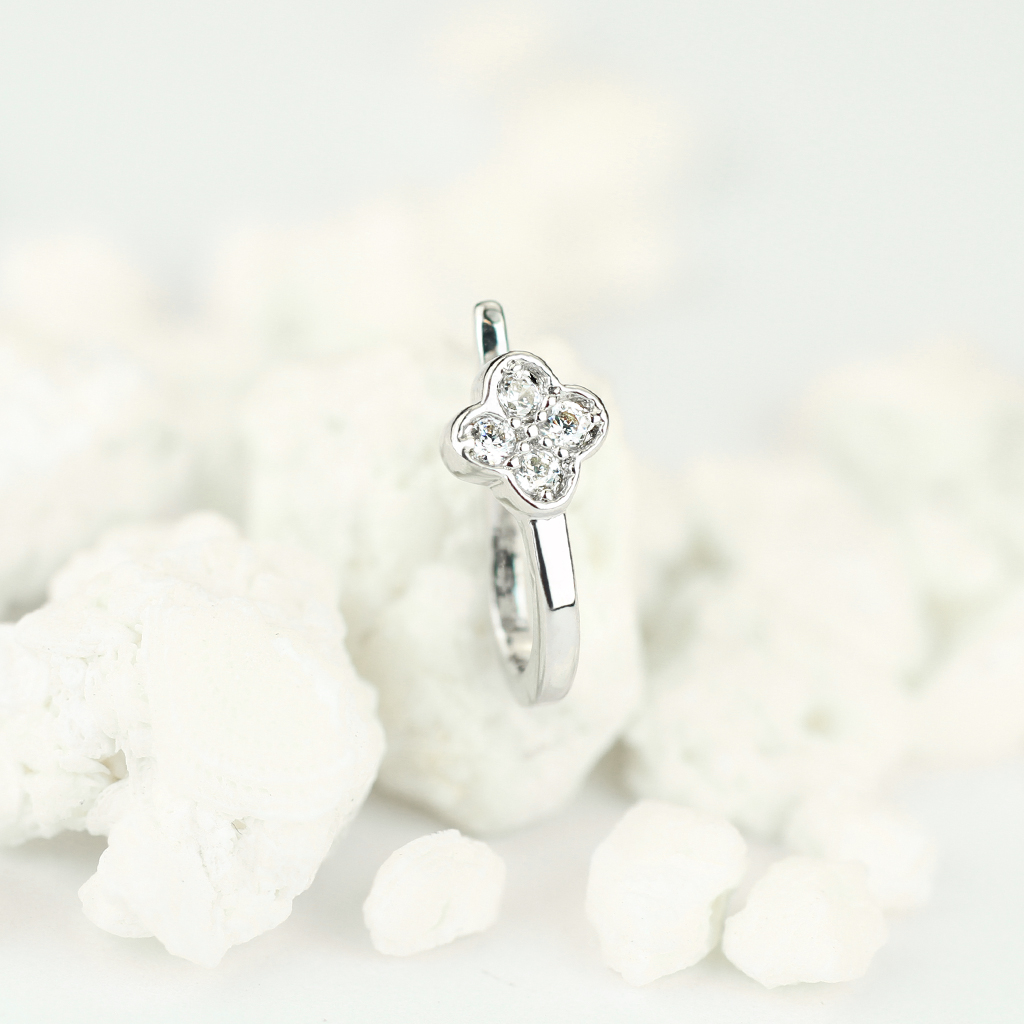 Fake nenäkoru nelilehtisellä apilalla