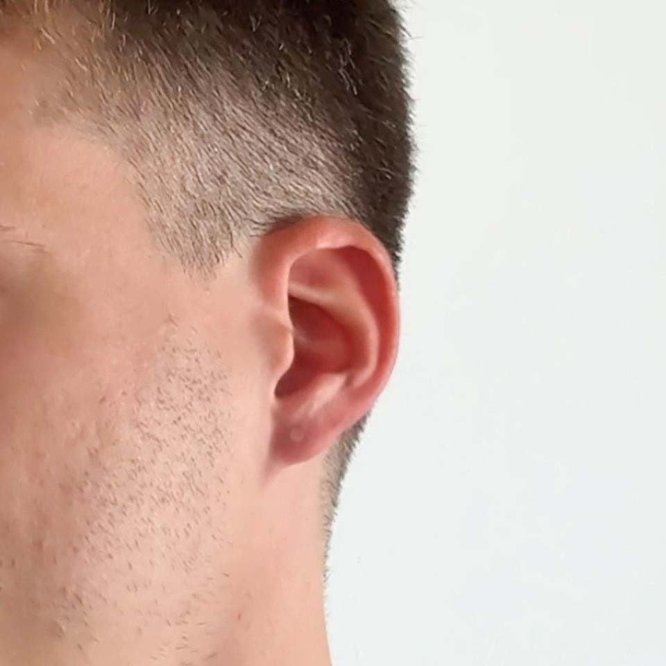 Labret-häivekoru
