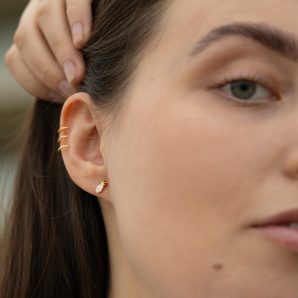 Titaanilabret – ananas