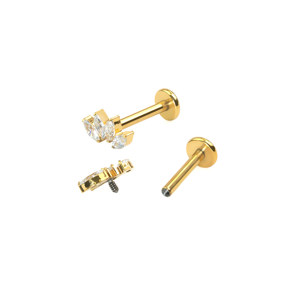 Titaanilabret neljällä markiisikivellä