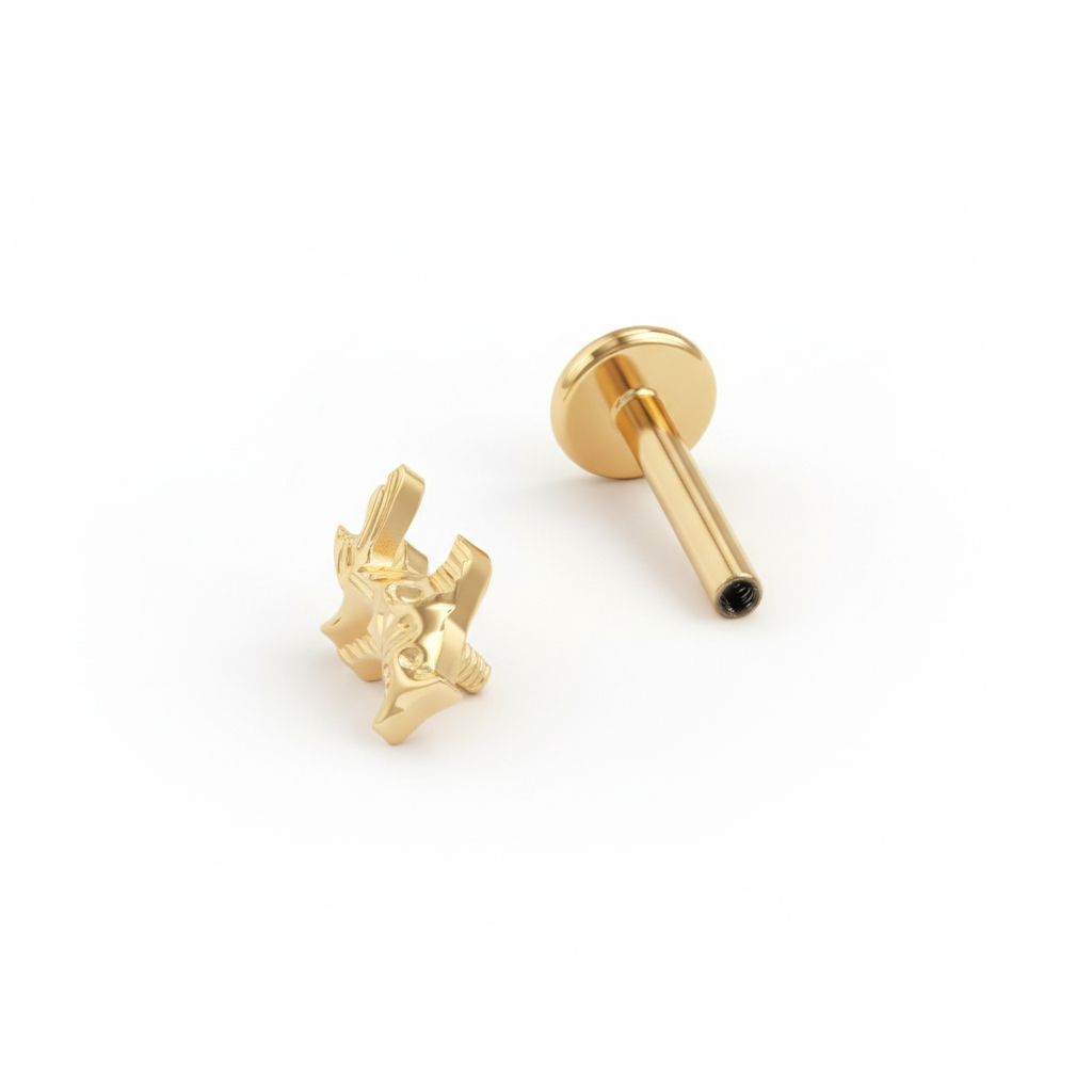 Titaaninen koikarppi-labret