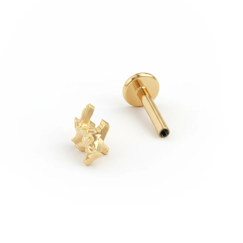 Titaaninen koikarppi-labret