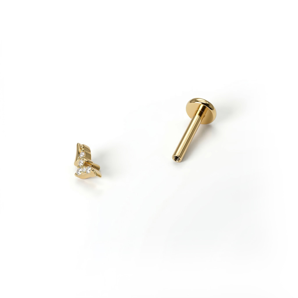 Titaaninen labret linnuilla