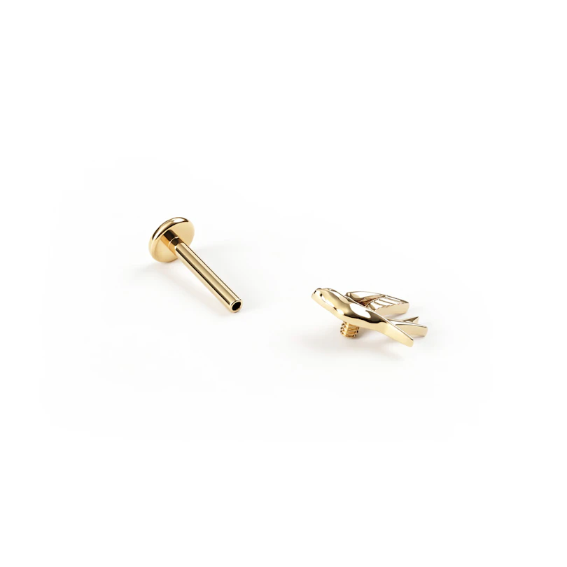 Titaaninen labret pääskysellä